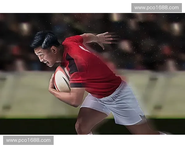 新西兰世界杯之旅：探索橄榄球强国如何在全球舞台上展现风采